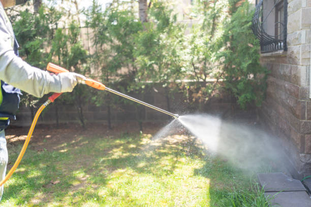 Best Local Pest Control Services  in Rockwall, TX