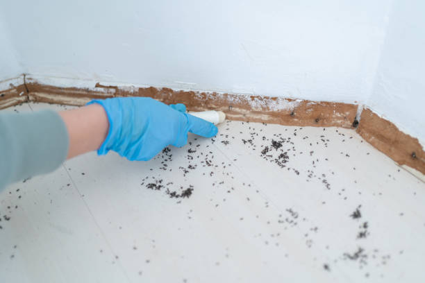 Best Commercial Pest Control Services  in Rockwall, TX